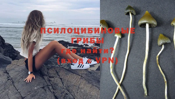 хмурый Покров