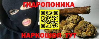 крисы Ирбит
