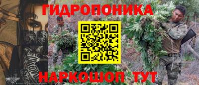 гашик Бузулук