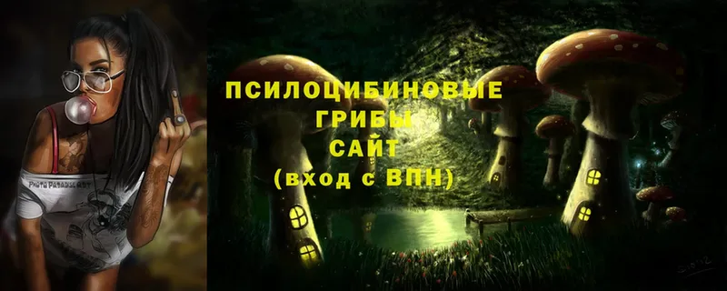 Галлюциногенные грибы Magic Shrooms  Кунгур 