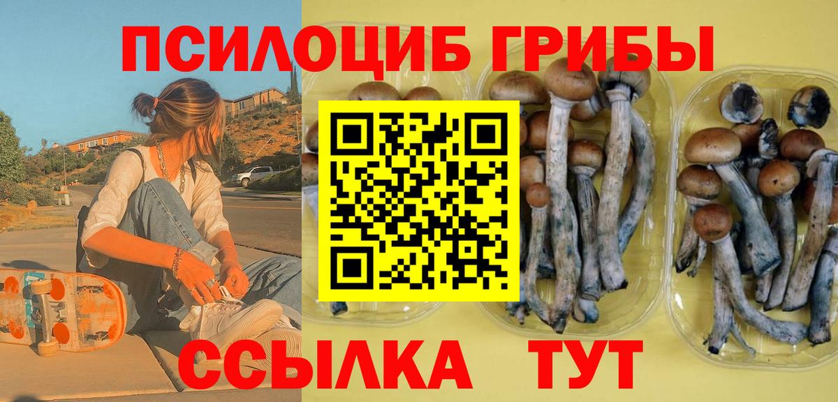 Галлюциногенные грибы мицелий Кунгур