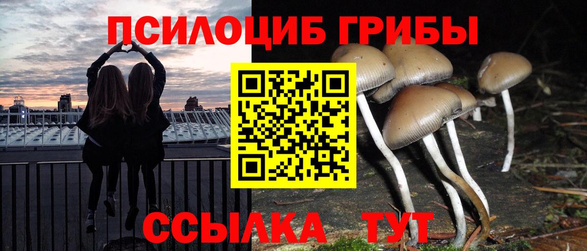 Галлюциногенные грибы мухоморы  Вход с VPN  Псилоцибиновые грибы MAGIC MUSHROOMS  Кунгур 