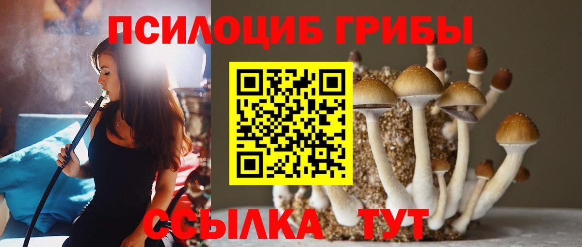 Псилоцибиновые грибы Magic Shrooms Кунгур
